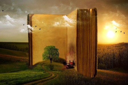 El día que decidí escribir una novela de...